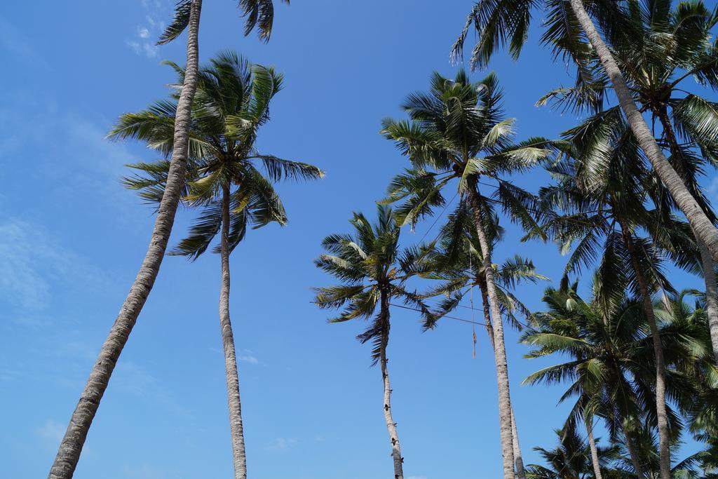 Sri Beach Bungalows And Villa Маравила Экстерьер фото
