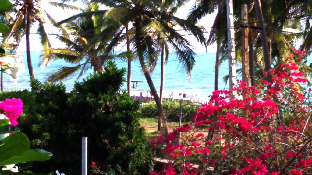 Sri Beach Bungalows And Villa Маравила Экстерьер фото